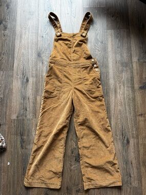 Patagonia Corduroy Overalls in Brown